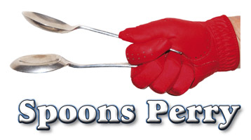 Deb "Spoons" Perry Website
